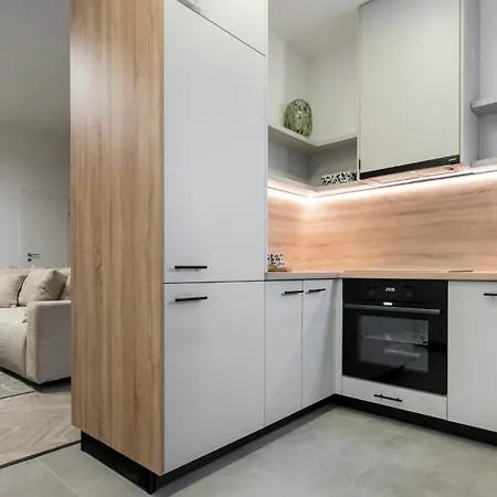 Cismigui Park Apartament *